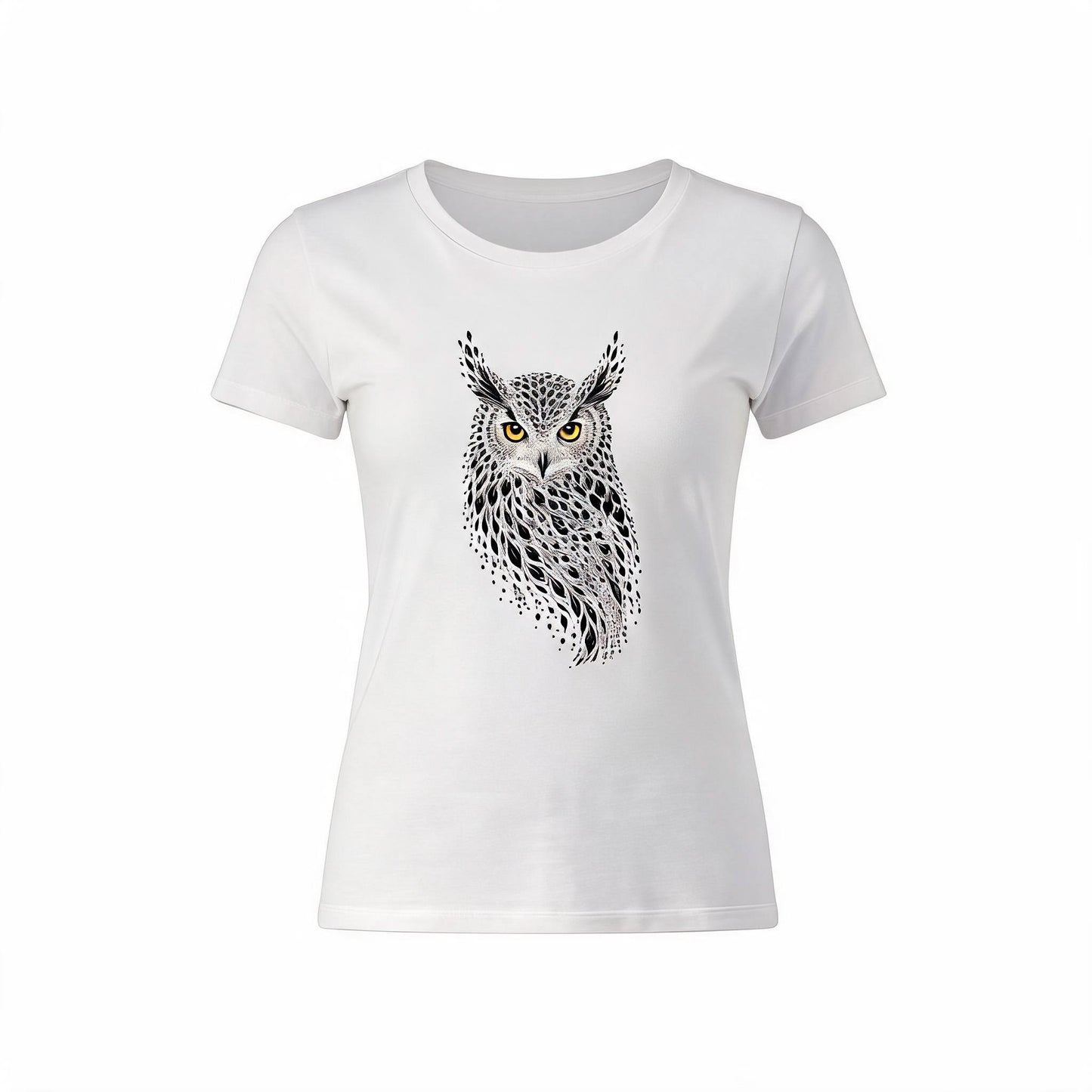 Owl - White Background